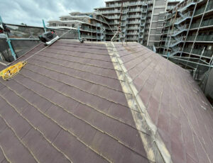 パミールの層間剥離