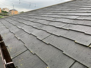 ザルフ／ザルフグラッサの欠け・剥離